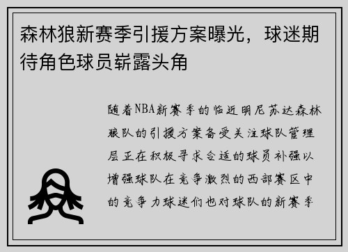 森林狼新赛季引援方案曝光，球迷期待角色球员崭露头角